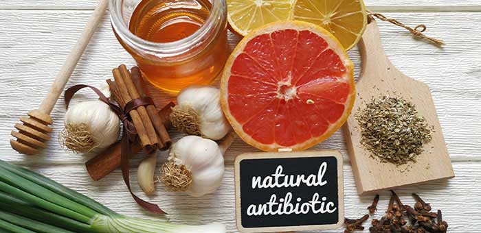 Natural antibiotics reccomnded by Oakland chiropractor